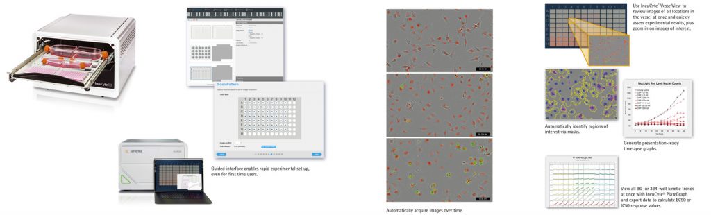 Automated Live Cell Analysis 
